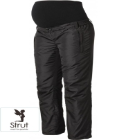 Strut Kollektion  2016