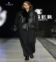 Tiger  Colección Otoño 2014