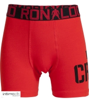 Intimo Kollektion  2014